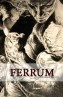 Спортивный центр «Ferrum»